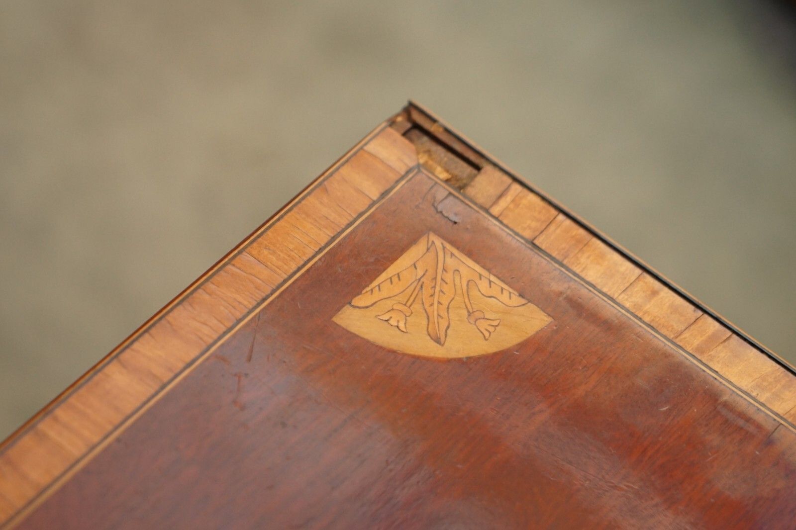 Furniture Antique Sheraton Revival F.Thomas Halesowen Chest Of Drawers Mahogany Satinwood photo