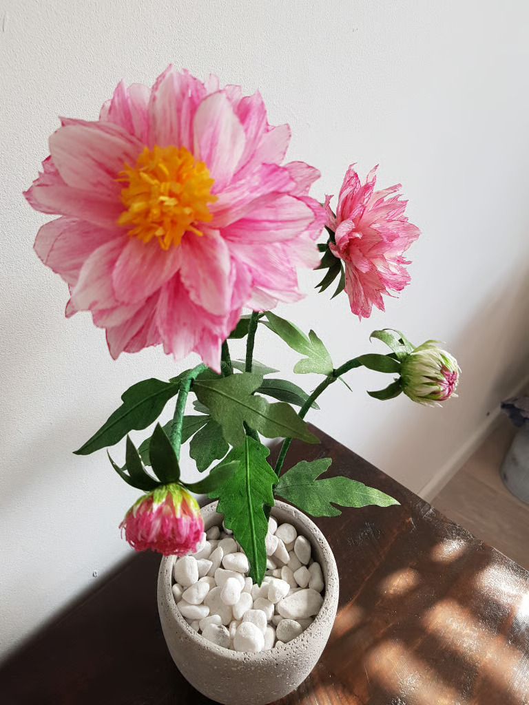 Realism Hand Crafted Powder Puff Dahlia Anenome photo Art