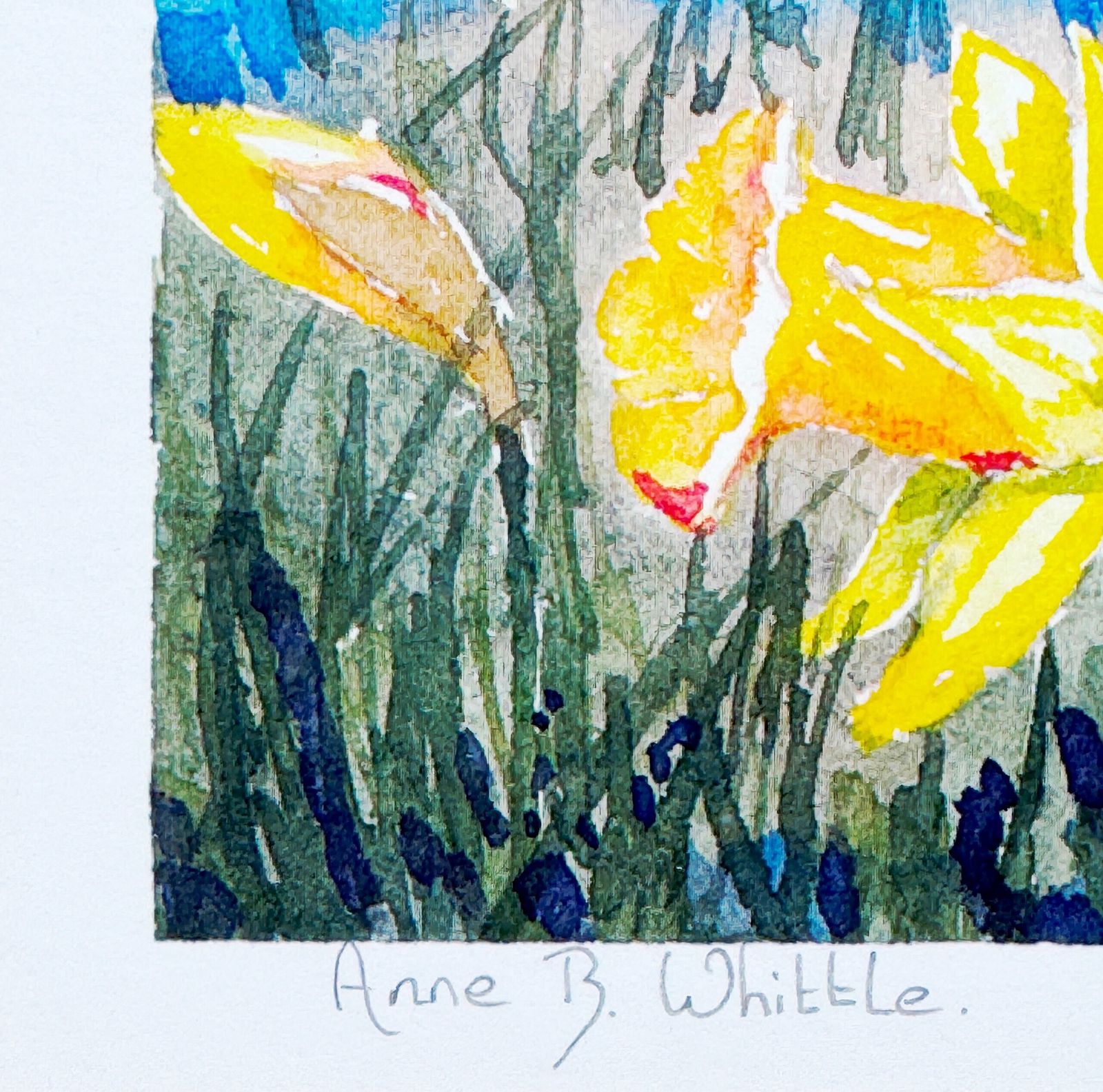 Wild Daffodils Pencil Signed Limited Edition Contemporary Print By Anne Whittle photo furniture