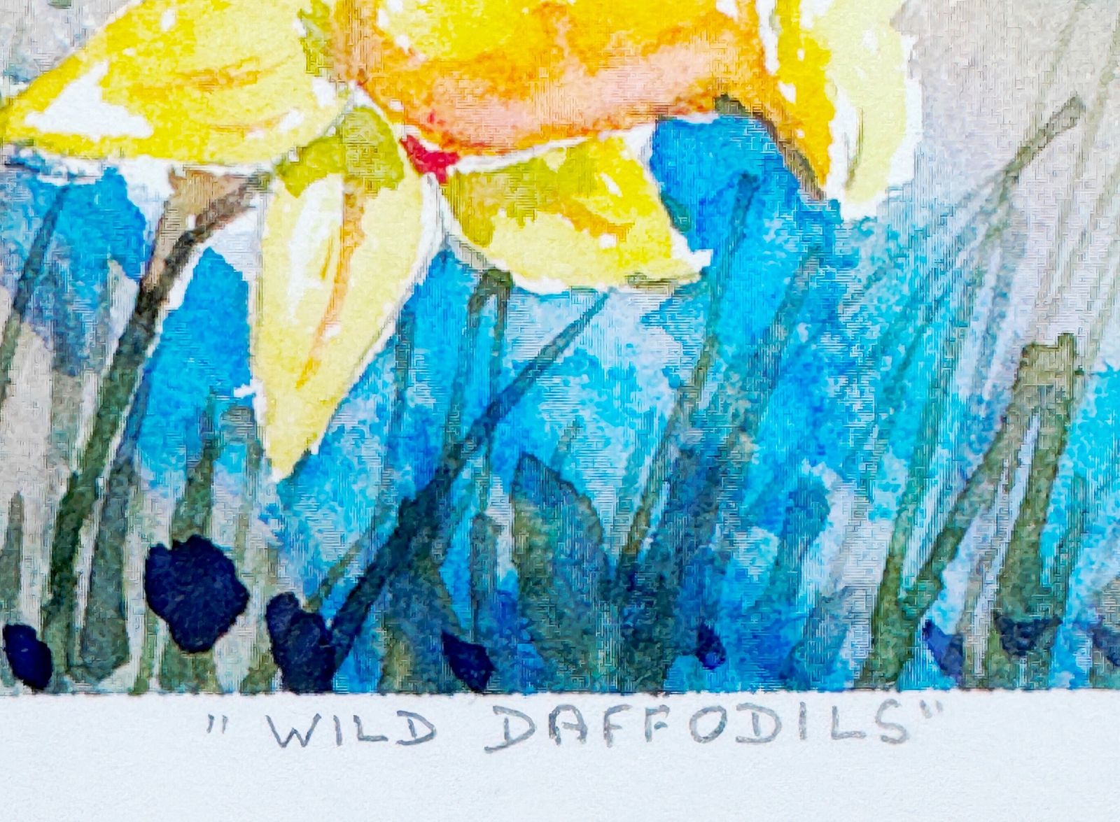 Wild Daffodils Pencil Signed Limited Edition Contemporary Print By Anne Whittle photo 65.0