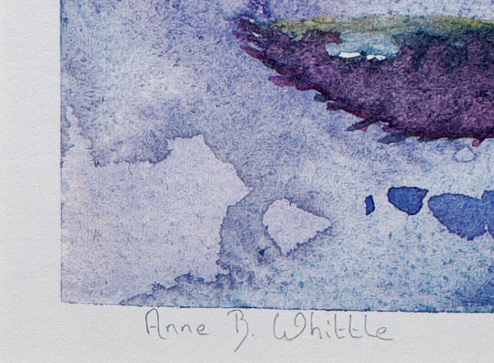 Pink Roses Pencil Signed Limited Edition Contemporary Print By Anne Whittle photo for sale