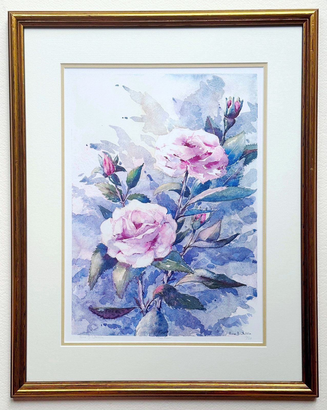 Pink Roses Pencil Signed Limited Edition Contemporary Print By Anne Whittle