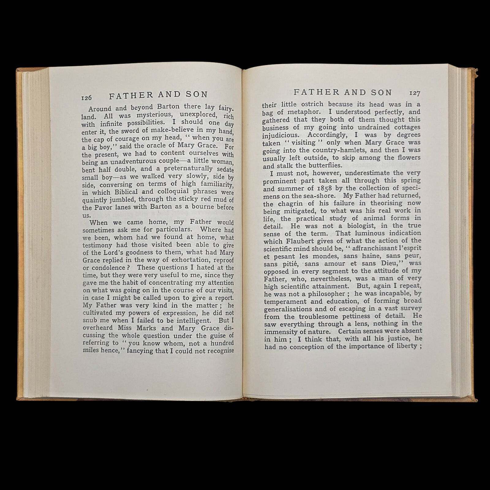 Vintage Book, Father And Son, Edmund Gosse, Memoir, Literary Classic, Circa 1935 photo vintage