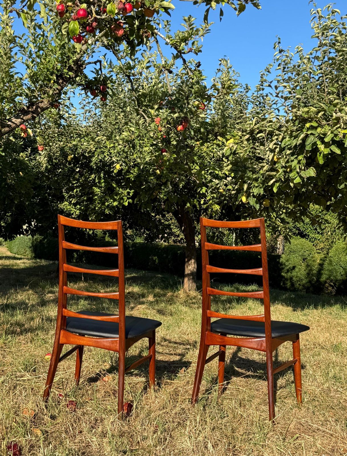 Mid Century Teak Dining Chairs By  Niels Koefoed Denmark 1960 Set Of 8 photo 2950.0