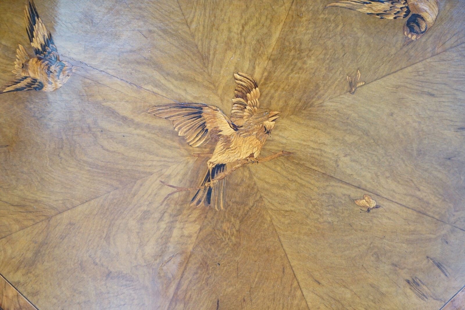 Fully Restored Sublime Antique Marquetry Inlaid Bird Occasional Side Lamp Table photo Furniture