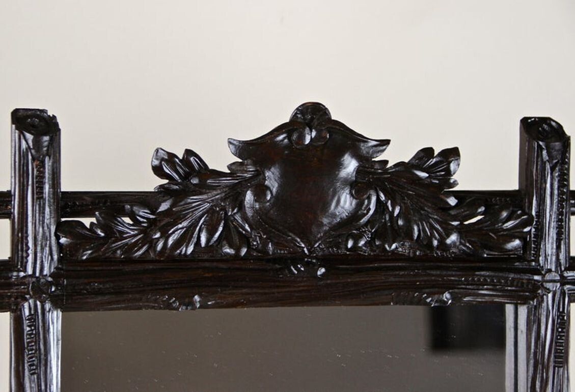 19th Century Black Forest Rustic Mirror With Coat Of Arms Carving, At, Circa 1880 photo Home Decor