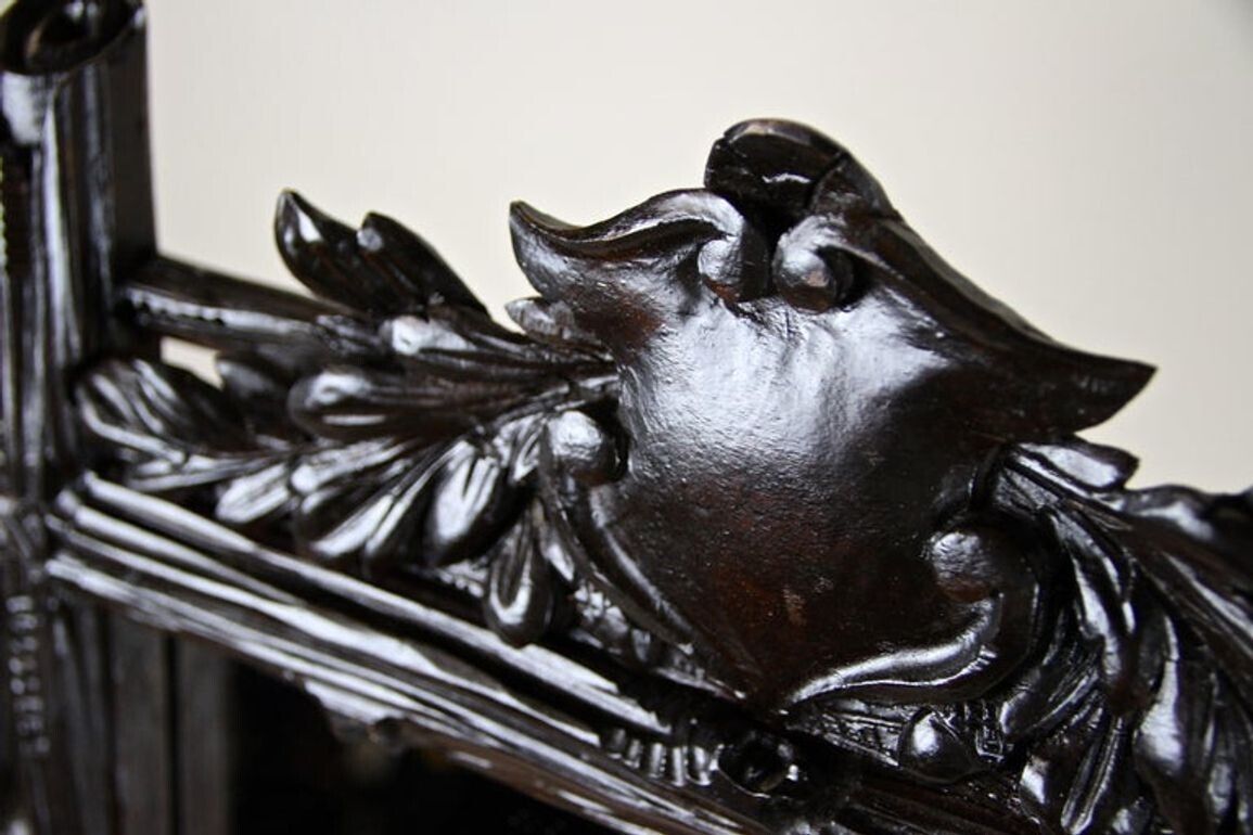 Home Decor 19th Century Black Forest Rustic Mirror With Coat Of Arms Carving, At, Circa 1880 photo