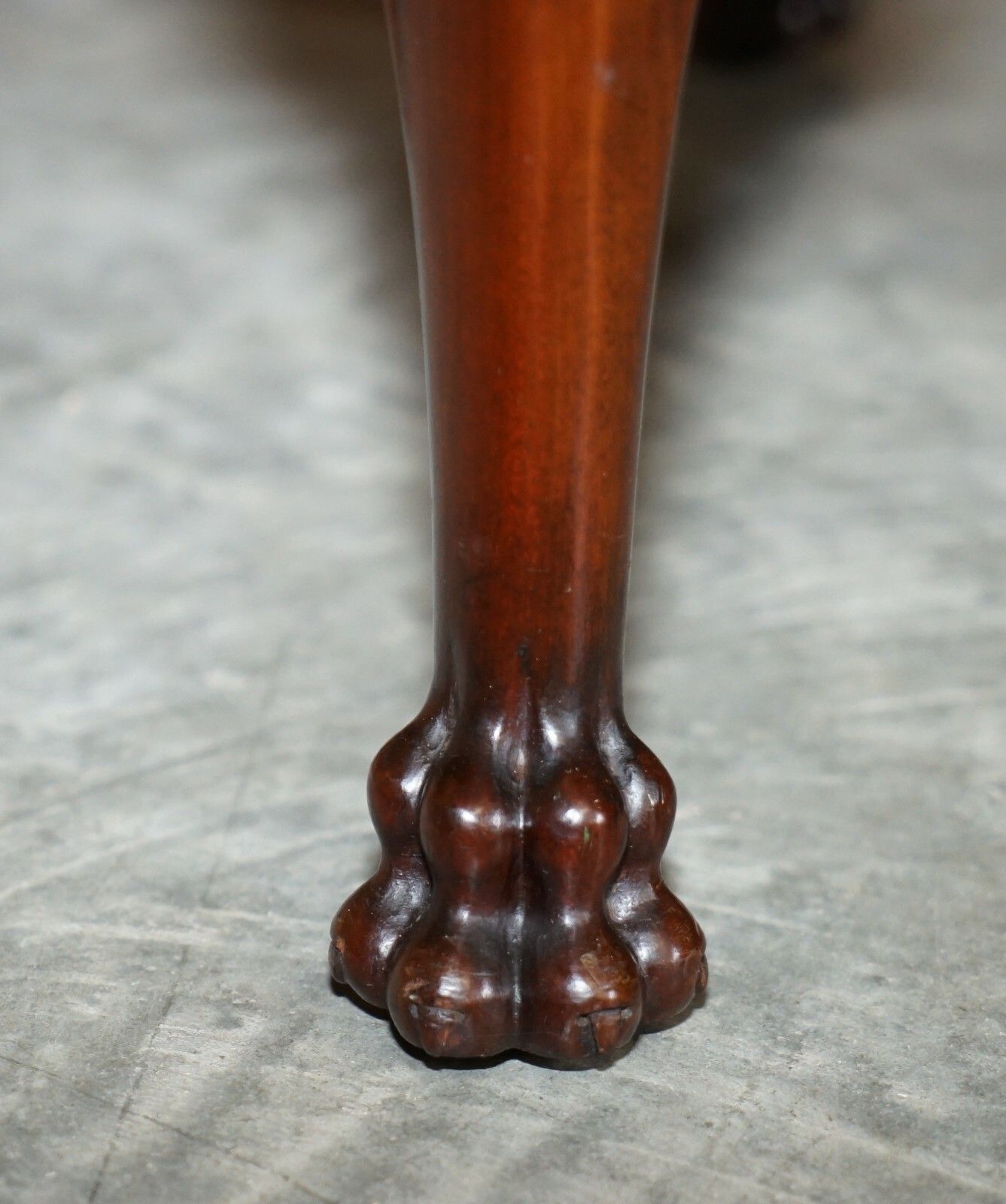 Antique Honduras Mahogany Side End Table Lion Hair Paw Carved Feet Part Of Suite photo vinterior