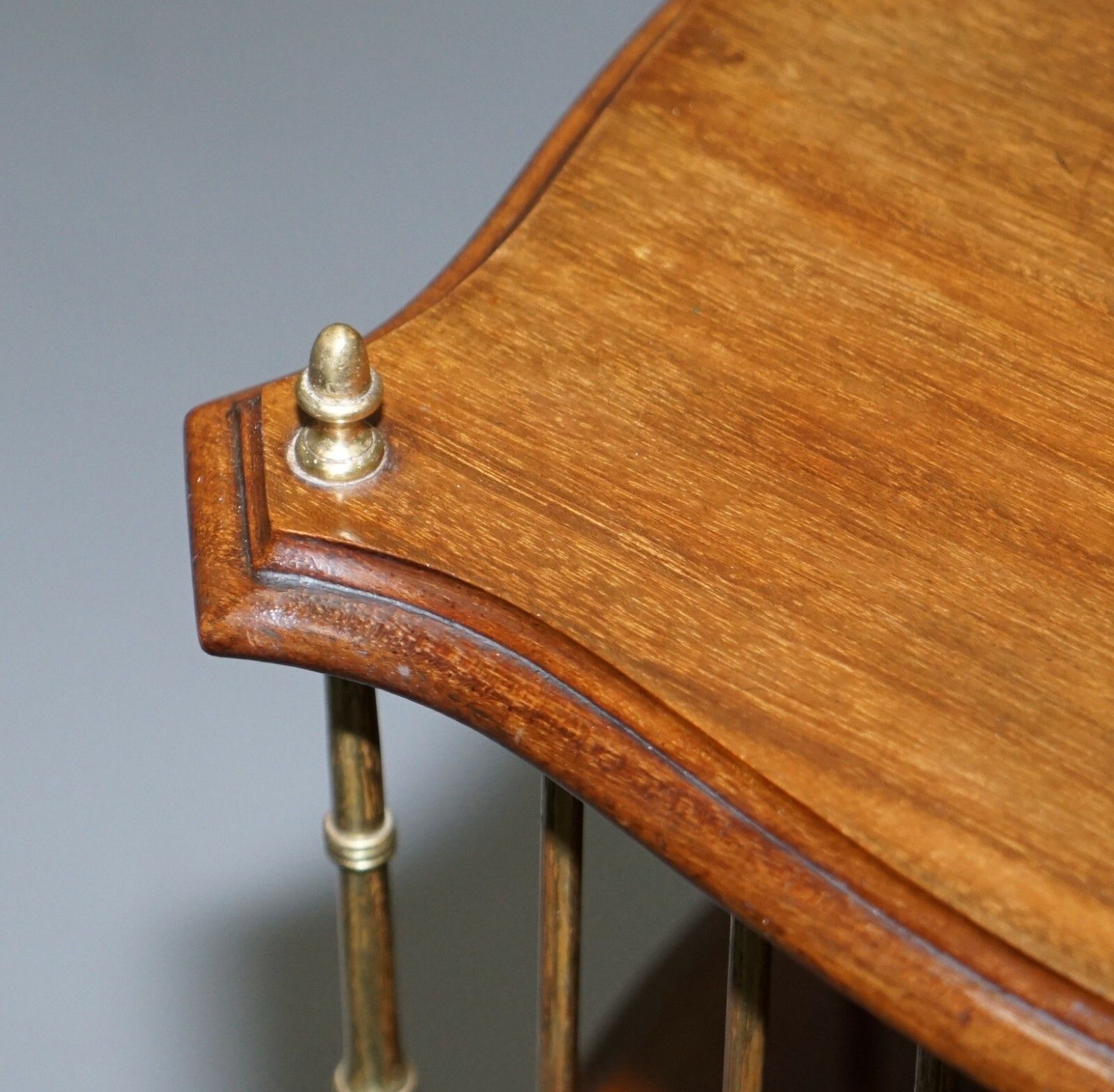 Ornate 19th Century Mahogany And Brass Revolving Bookcase In The Regency Style photo Furniture