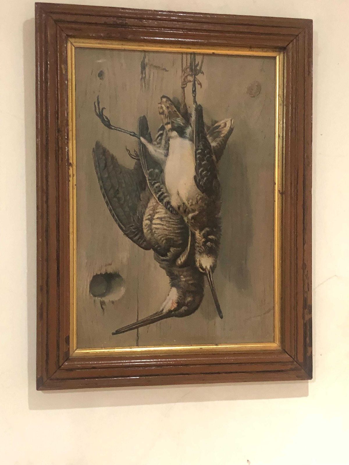Late 19th Century Trompe L Oeil Study " Woodcock And Snipe "
