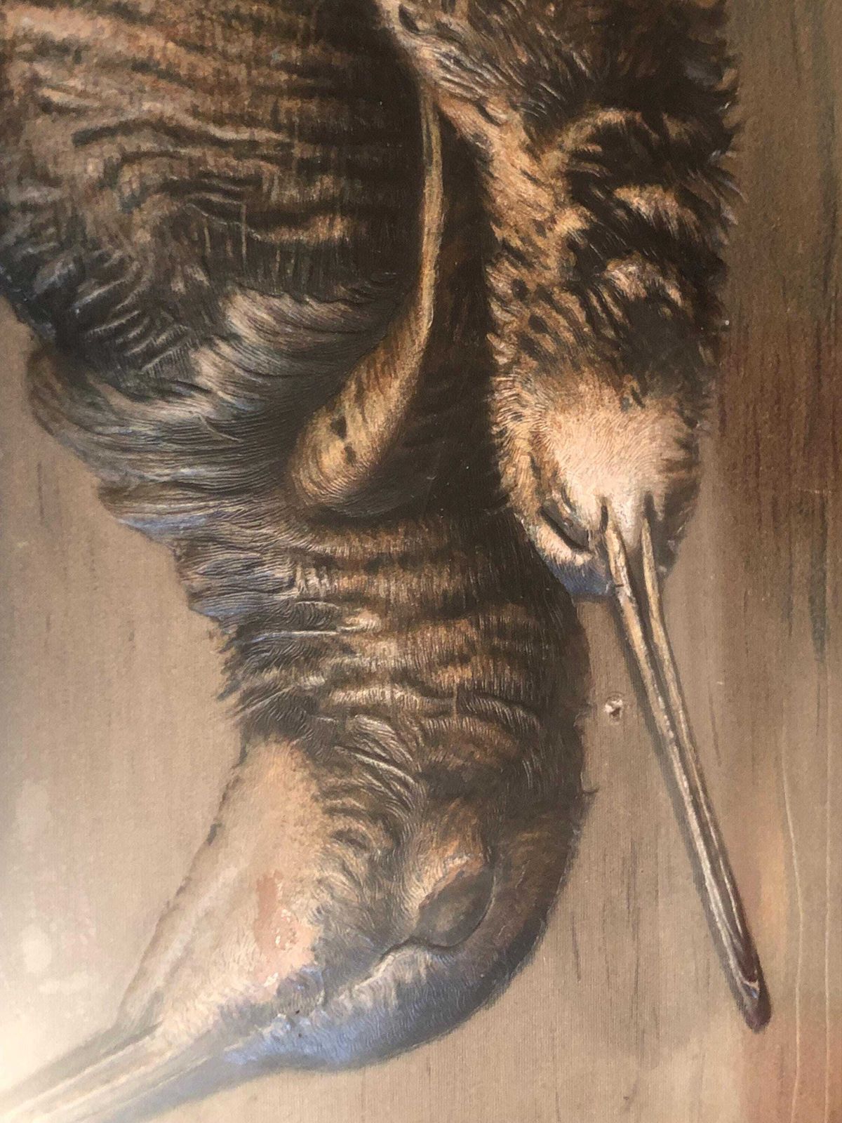 Late 19th Century Trompe L Oeil Study " Woodcock And Snipe " photo for sale