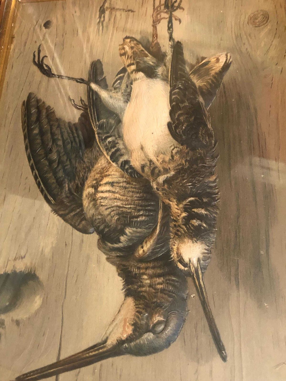 Late 19th Century Trompe L Oeil Study " Woodcock And Snipe " photo 180.0