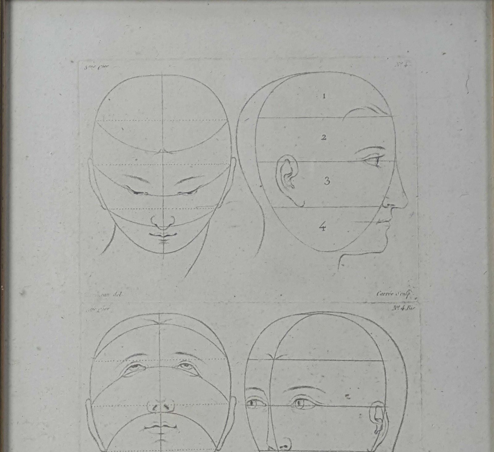 Antique 18th Century French Engraving By Parizeau & Carré, Original Anatomical Art Study Of Face Proportions photo Art