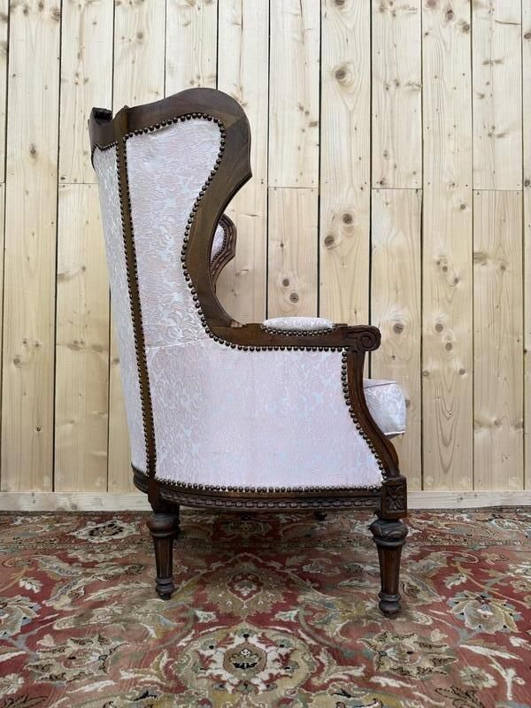 Louis XVI Napoleon III Style Bergère Armchair photo furniture