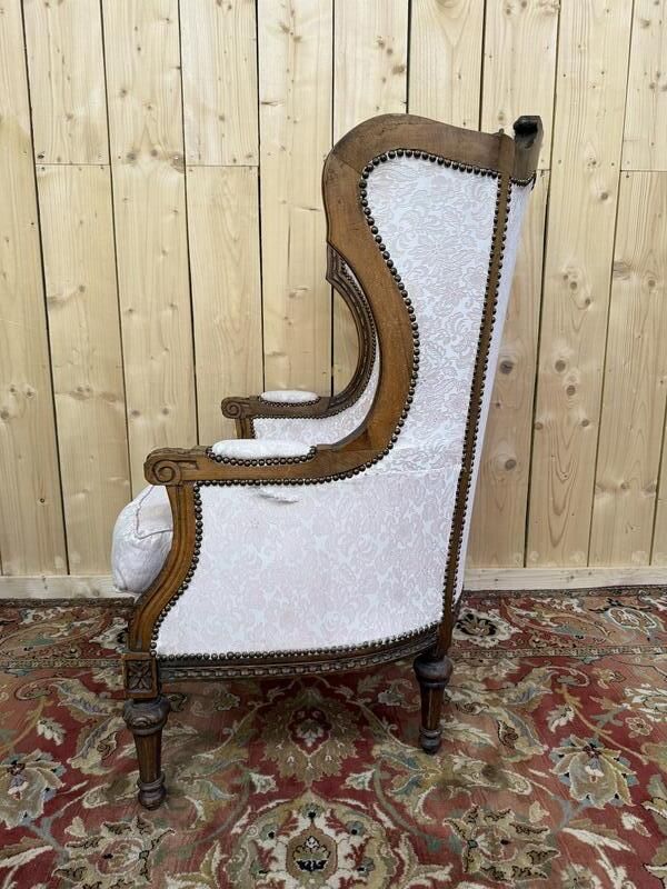 Louis XVI Napoleon III Style Bergère Armchair photo Furniture