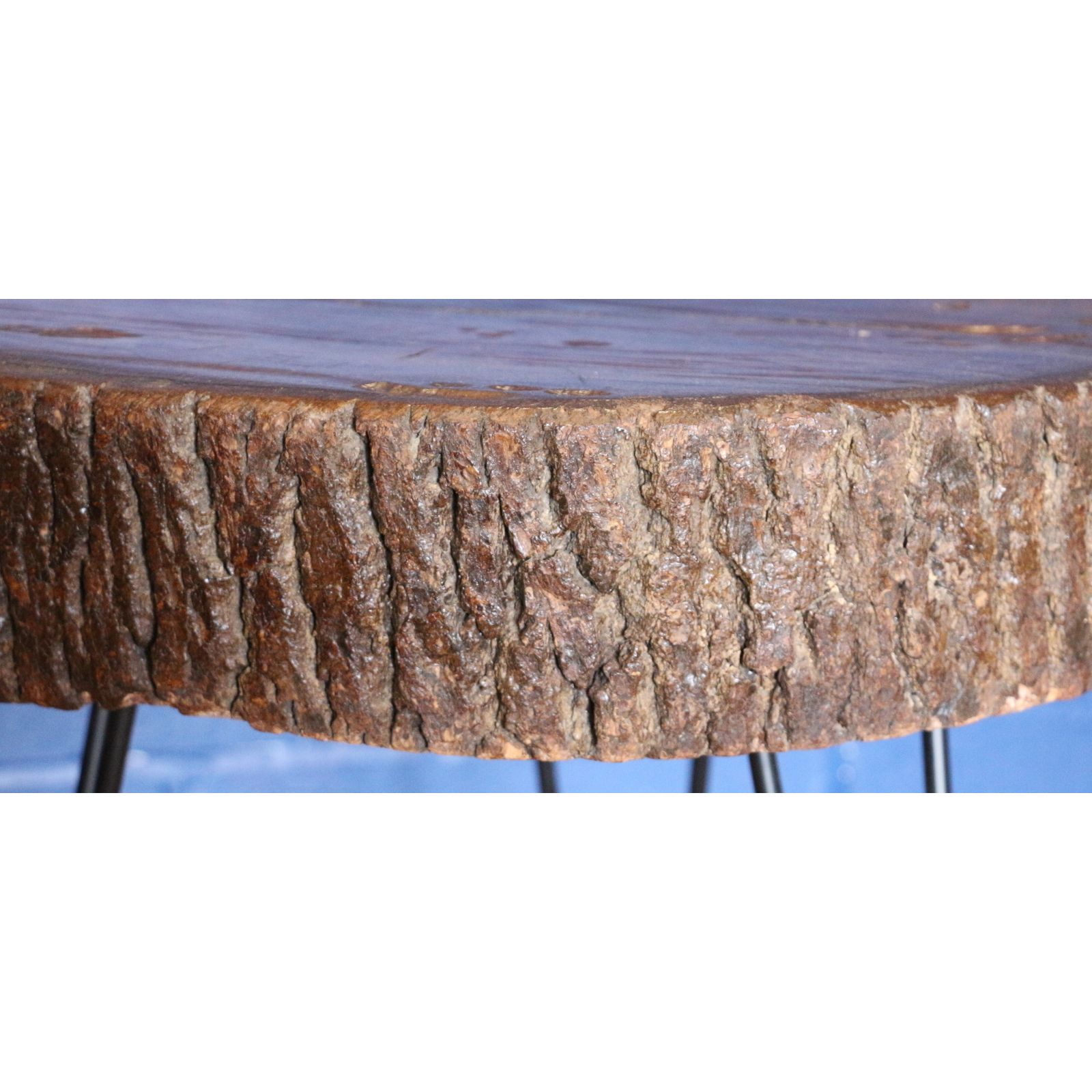 A Rustic Waxed And Polished Tree Slice Coffee Table With Live Edge And Hairpin Legs photo furniture