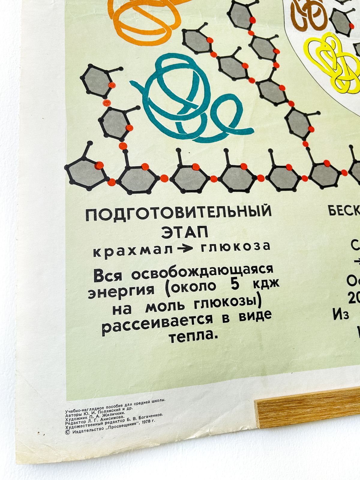 1978 Original Soviet Vintage Biology School Chart "Carbohydrate Metabolism" Paper On Linen, Ussr Mid Century Educational Poster photo Art