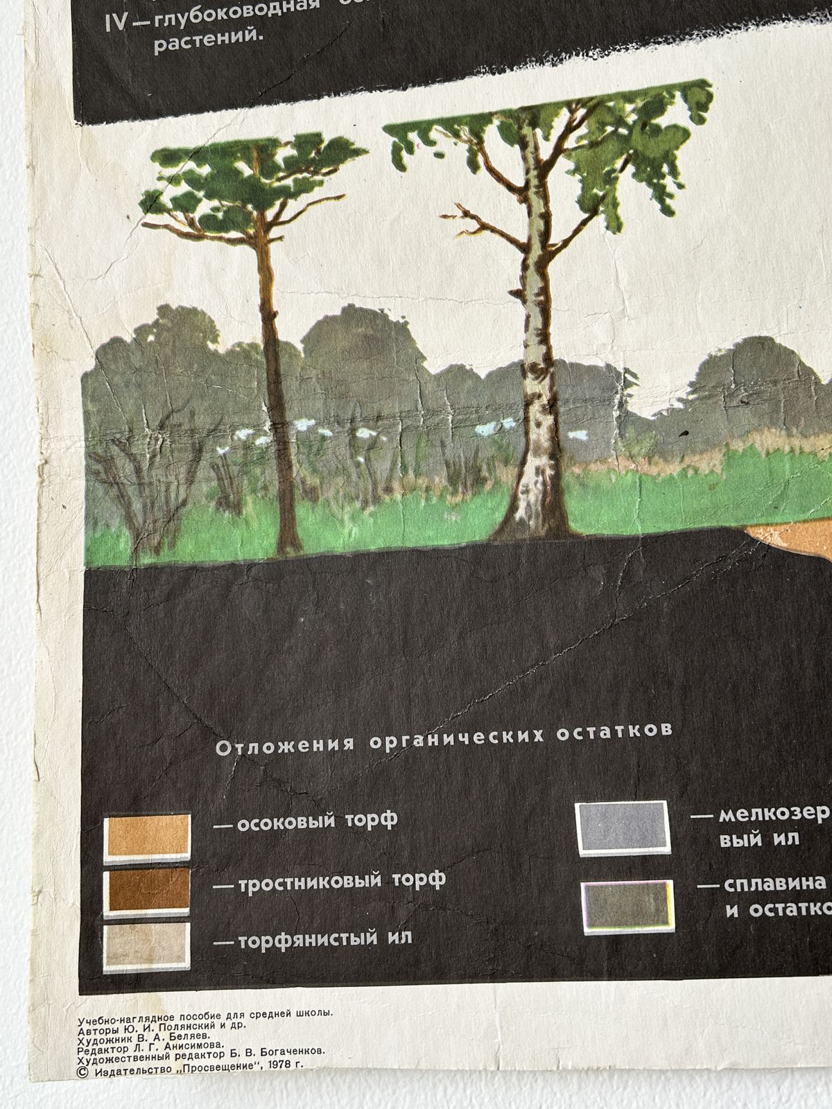 1978 Original Soviet Vintage Biology School Chart "Overgrowing Of A Water Body" Paper On Linen, Ussr Educational Botanical Diagram photo for sale