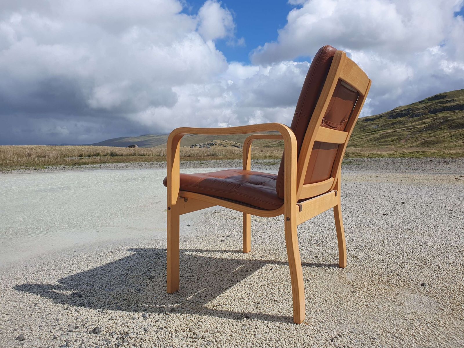 Yngve Ekstrom For Skandi Form, Sweden. A Bentwood Armchair With Leather Upholstered Pads. photo for sale