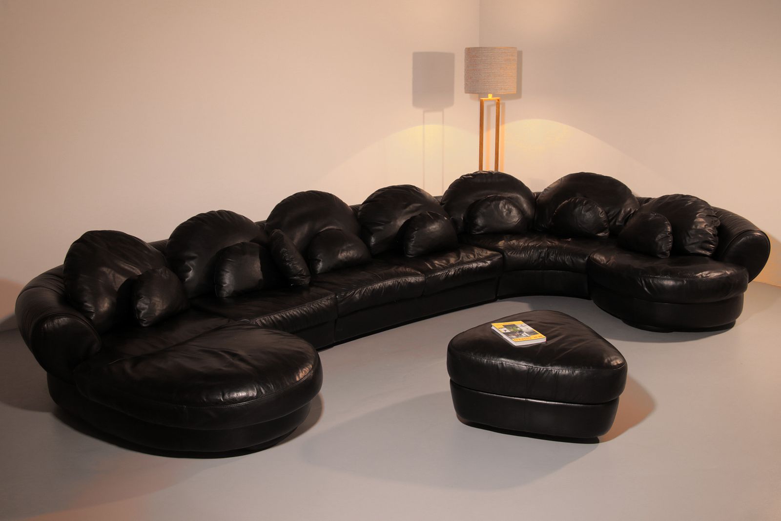 photo vinterior Organically Shaped Post Modern Sectional Sofa In Black Leather
