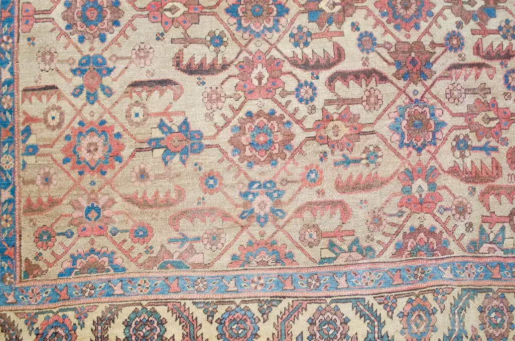 photo for sale Antique Bakhshaysh Carpet 352x300cm