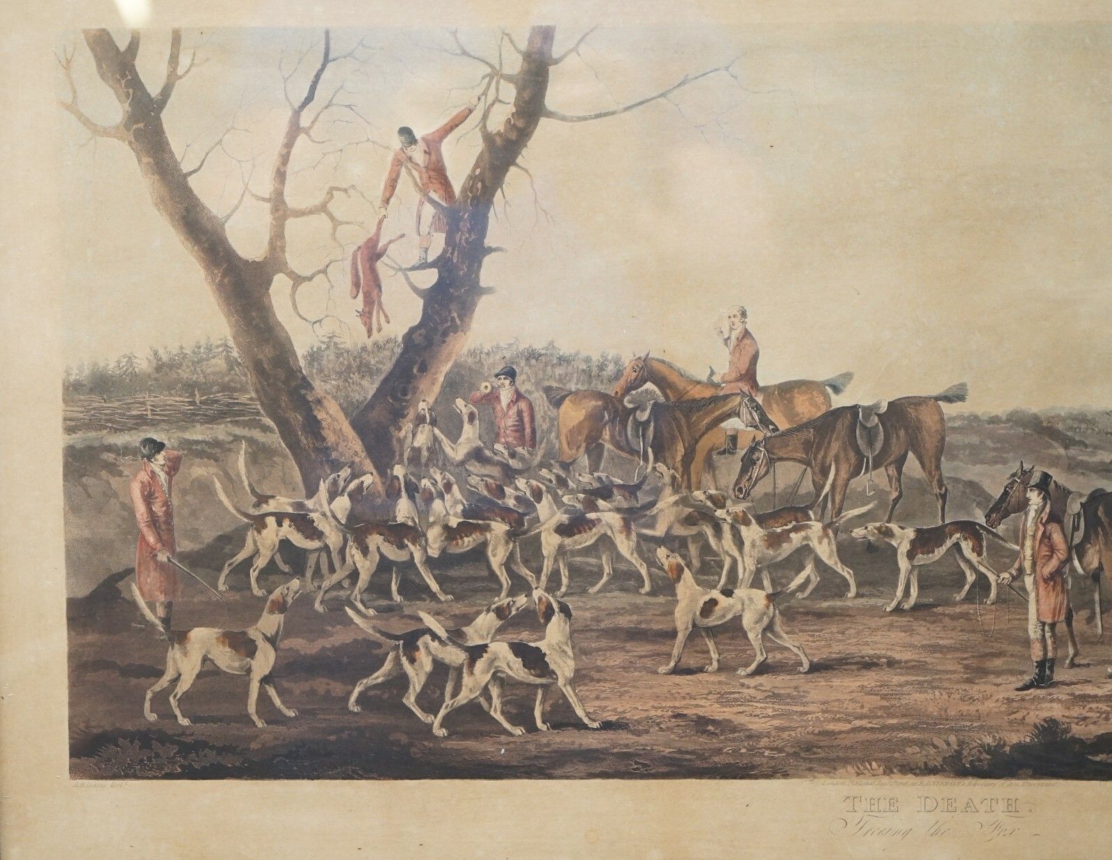 Rare Pair Of Hunting Prints The Death & The Chase 1819 T Sutherland Sculpt photo for sale