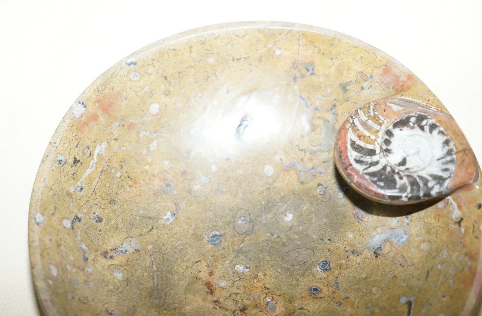 1 Of 4 Sublime Moroccan Ammonite Atlas Mountains Fossil Bowls Marble Finish photo vinterior