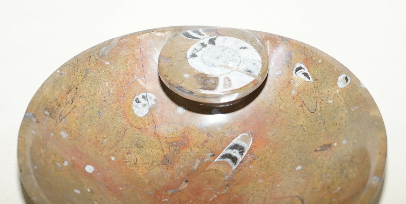 photo furniture 1 Of 4 Lovely Moroccan Ammonite Atlas Mountains Fossil Bowls Marble Finish