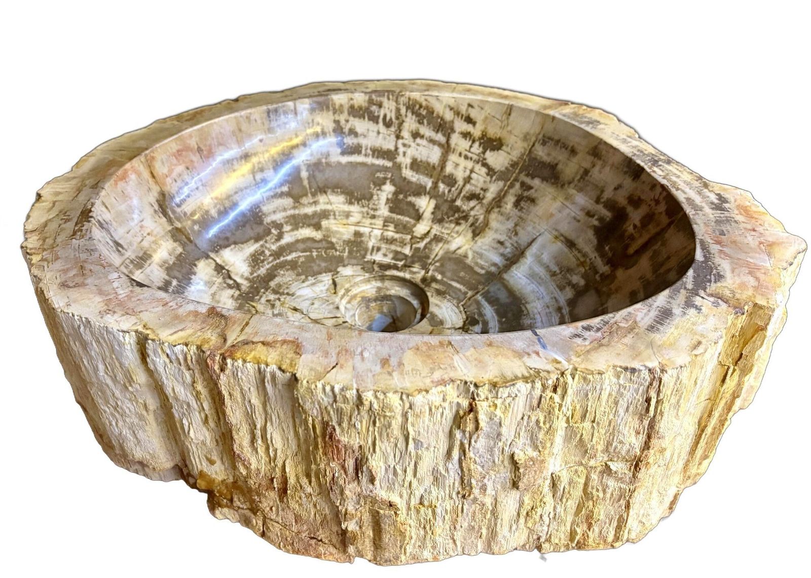 Modern Organic Petrified Wood Sink, Grey/ Brown/ Beige   Polished, Idn 2025