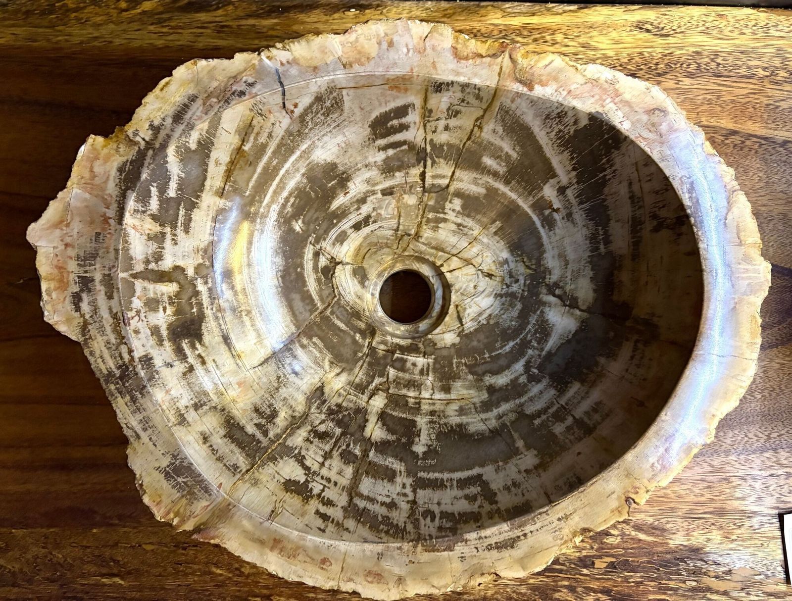 Modern Organic Petrified Wood Sink, Grey/ Brown/ Beige   Polished, Idn 2025 photo furniture