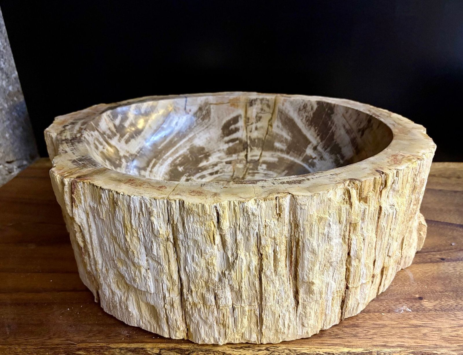 Modern Organic Petrified Wood Sink, Grey/ Brown/ Beige   Polished, Idn 2025 photo 1750.0