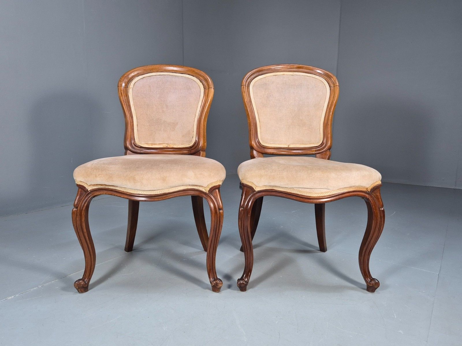 2 Antique Louis XV Style French Country Chairs Balloon Back  Eb10048 Vdin photo for sale