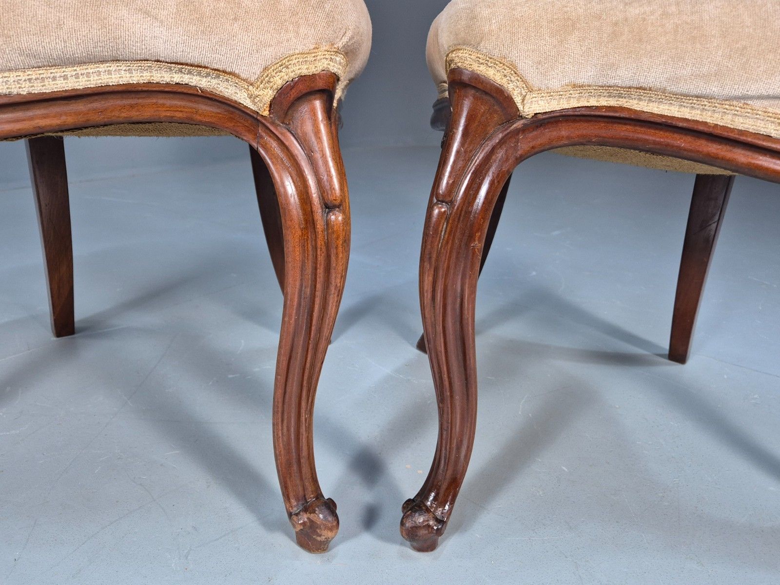 2 Antique Louis XV Style French Country Chairs Balloon Back  Eb10048 Vdin photo buy
