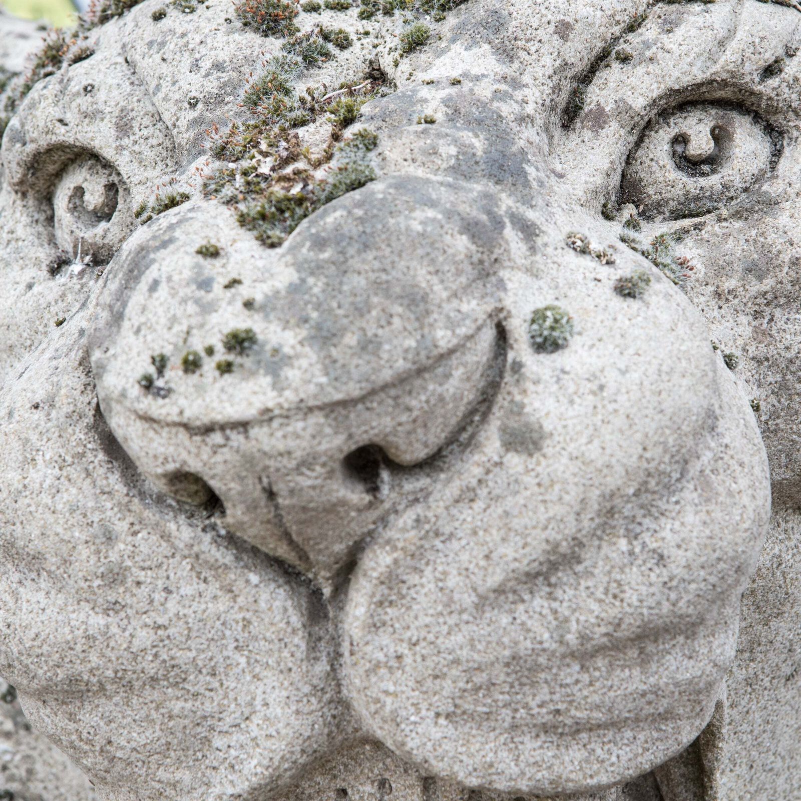 photo for sale Reclaimed Pair Of Monumental Stone Lions On Their Own Plinth