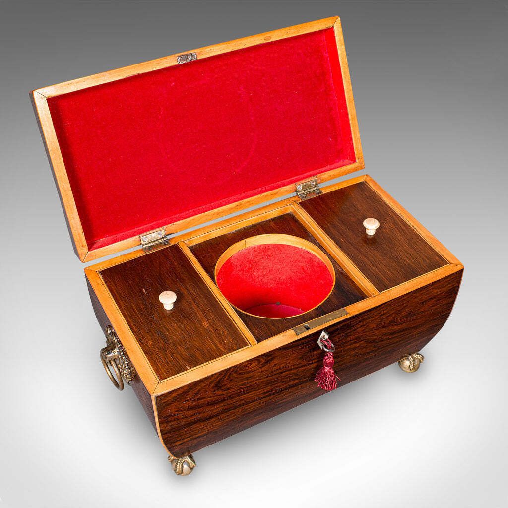Antique Sarcophagus Tea Caddy, English, Loose Leaf Case, William IV, Circa 1835 photo vintage