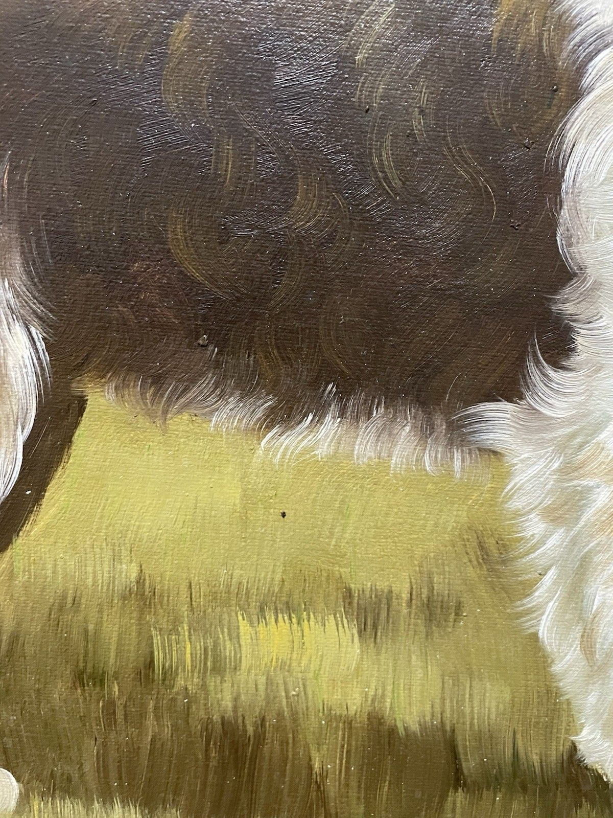 photo for sale Vintage Oil Painting Cocker Spaniel Dog Framed On Canvas Mid Century