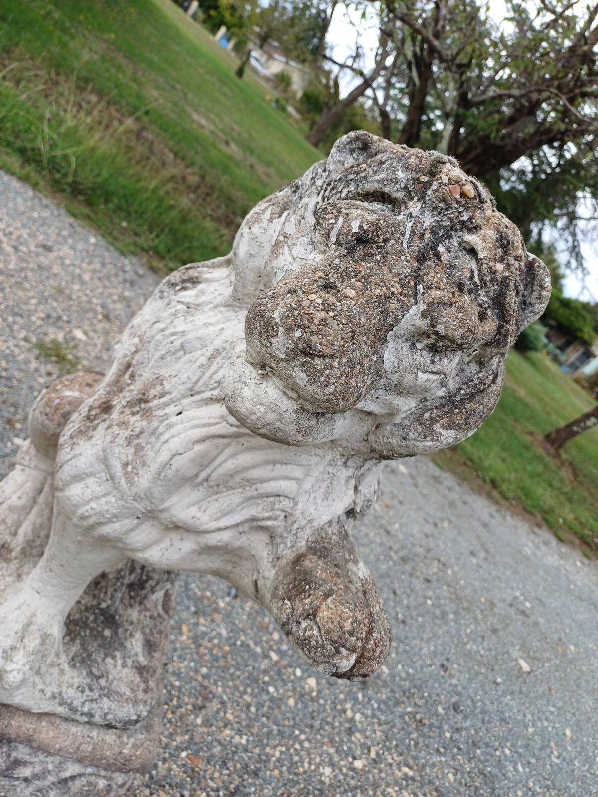 photo for sale Pair Of Stone Lions From The 1960s
