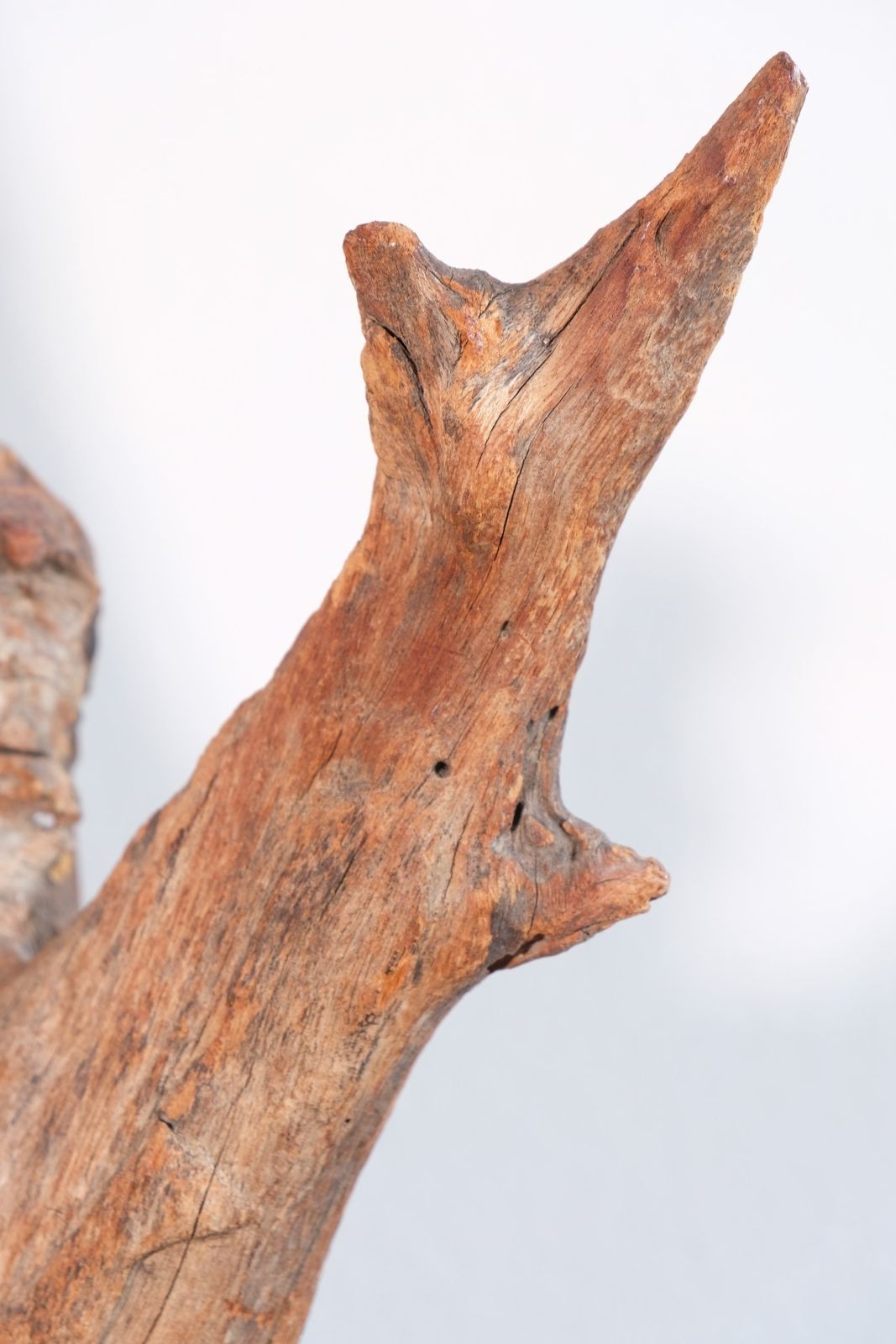 Primitive Carved Driftwood Folk Art Face Sculpture From Beachfound Wood photo 400.0