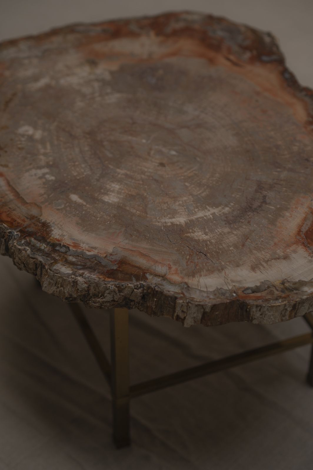 Rare Petrified Wood Coffee Table   1970s photo vintage
