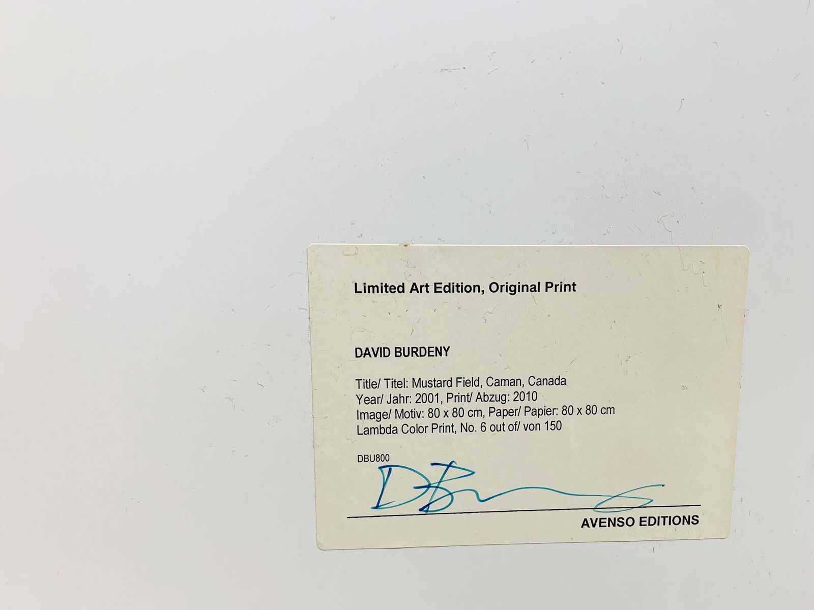 Mustard Field Limited Edition Original Print, Signed By David Burdeny For Lumas photo buy