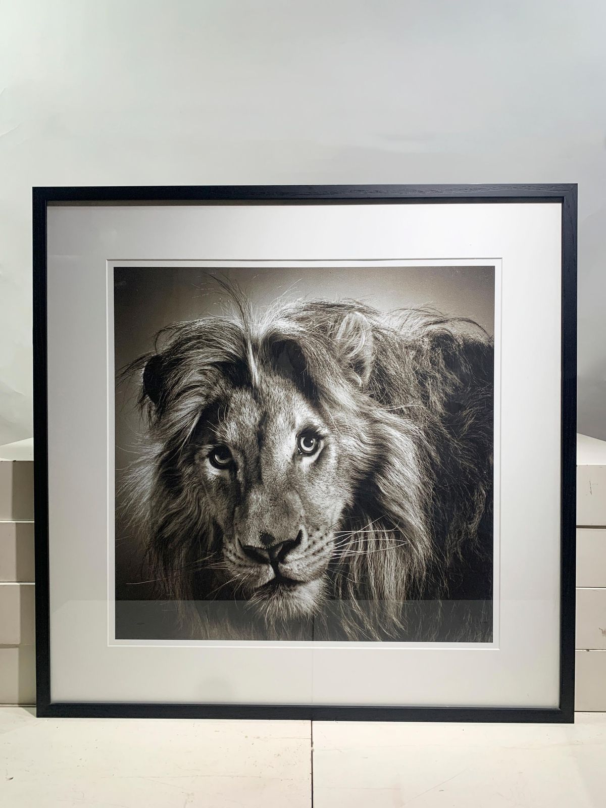 Framed "Massai" Limited Edition Original Print, Signed By Alexander Von Reiswitz photo furniture
