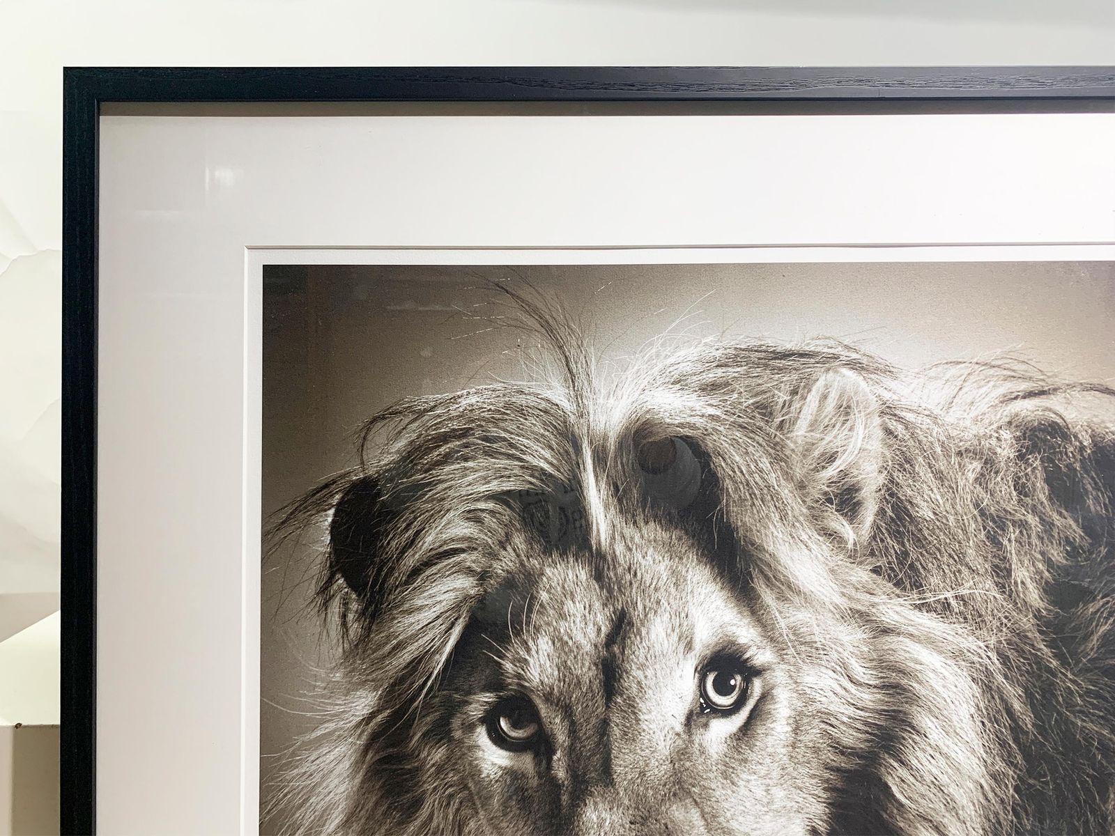 Framed "Massai" Limited Edition Original Print, Signed By Alexander Von Reiswitz photo for sale