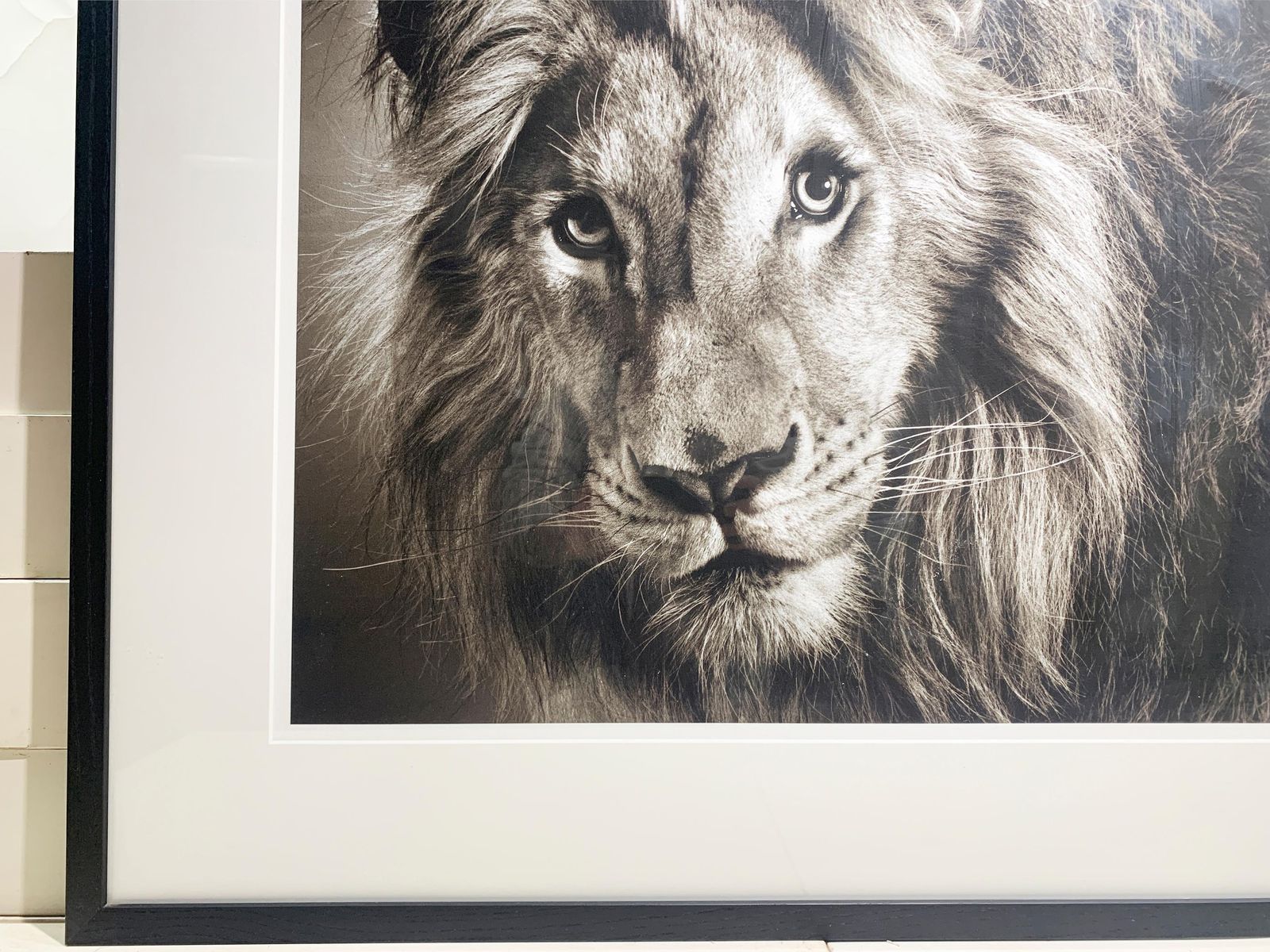 Framed "Massai" Limited Edition Original Print, Signed By Alexander Von Reiswitz photo Art