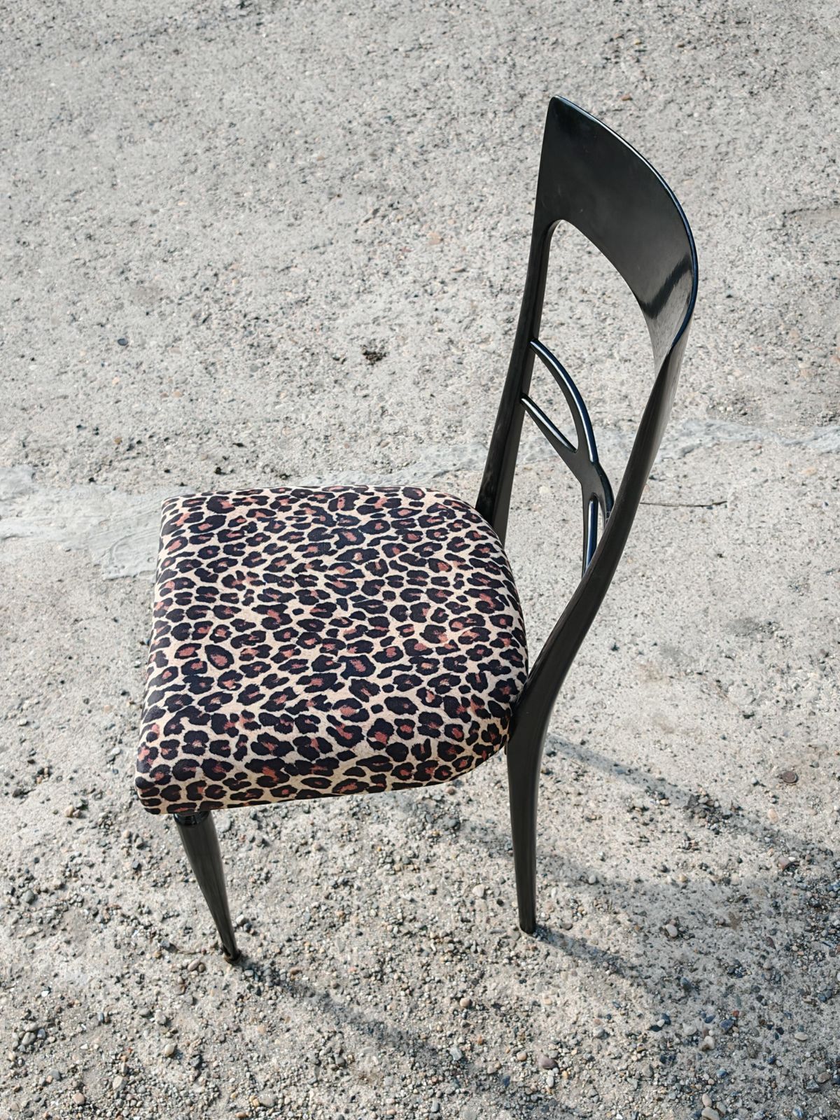 Furniture Set Of 6 Mid Century Dining Chairs In Black Lacquer And Leopard Print Plush photo