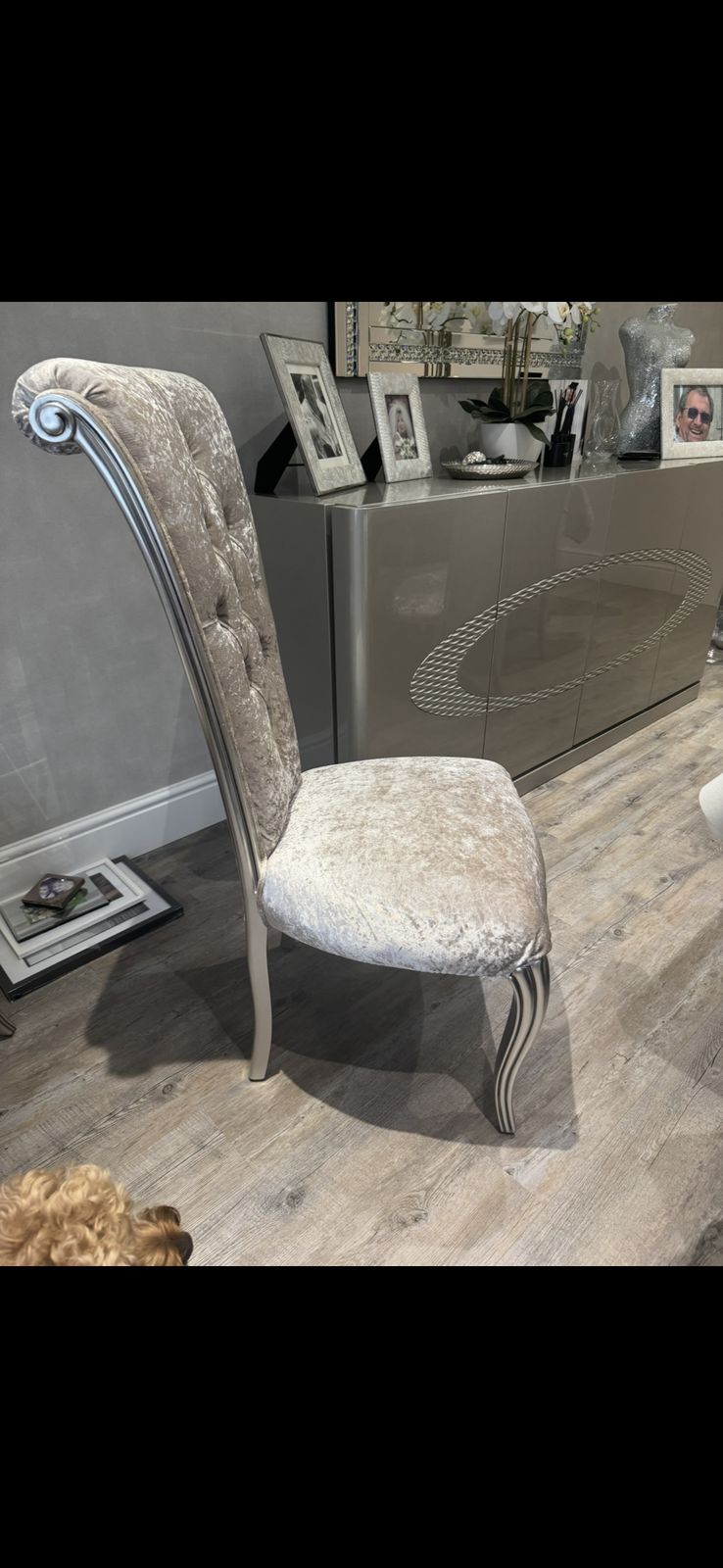 Crushed Velvet Dining Chairs