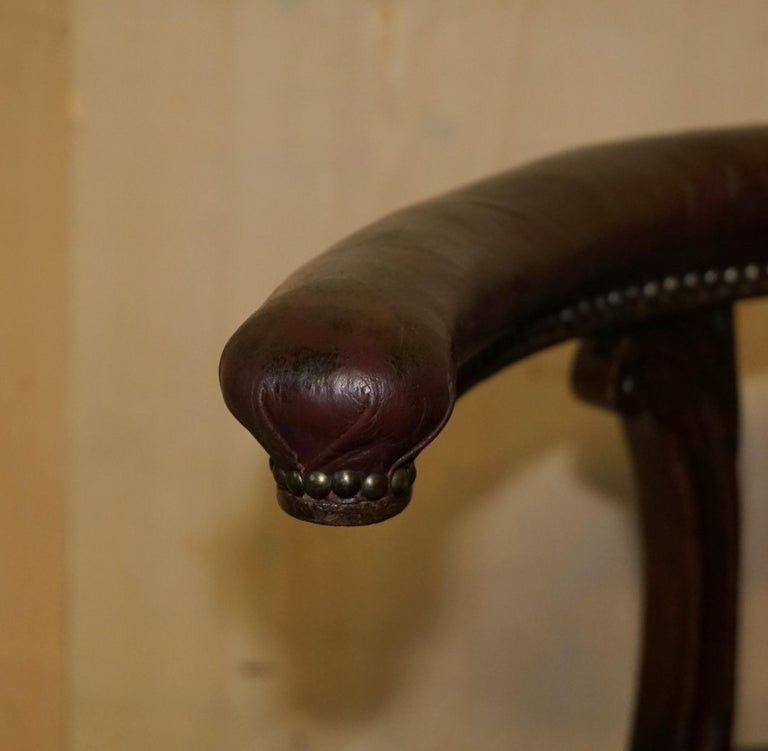 Fine Antique 1830 William IV Cockfighting Brown Leather Chair Original Castors photo 3500.0