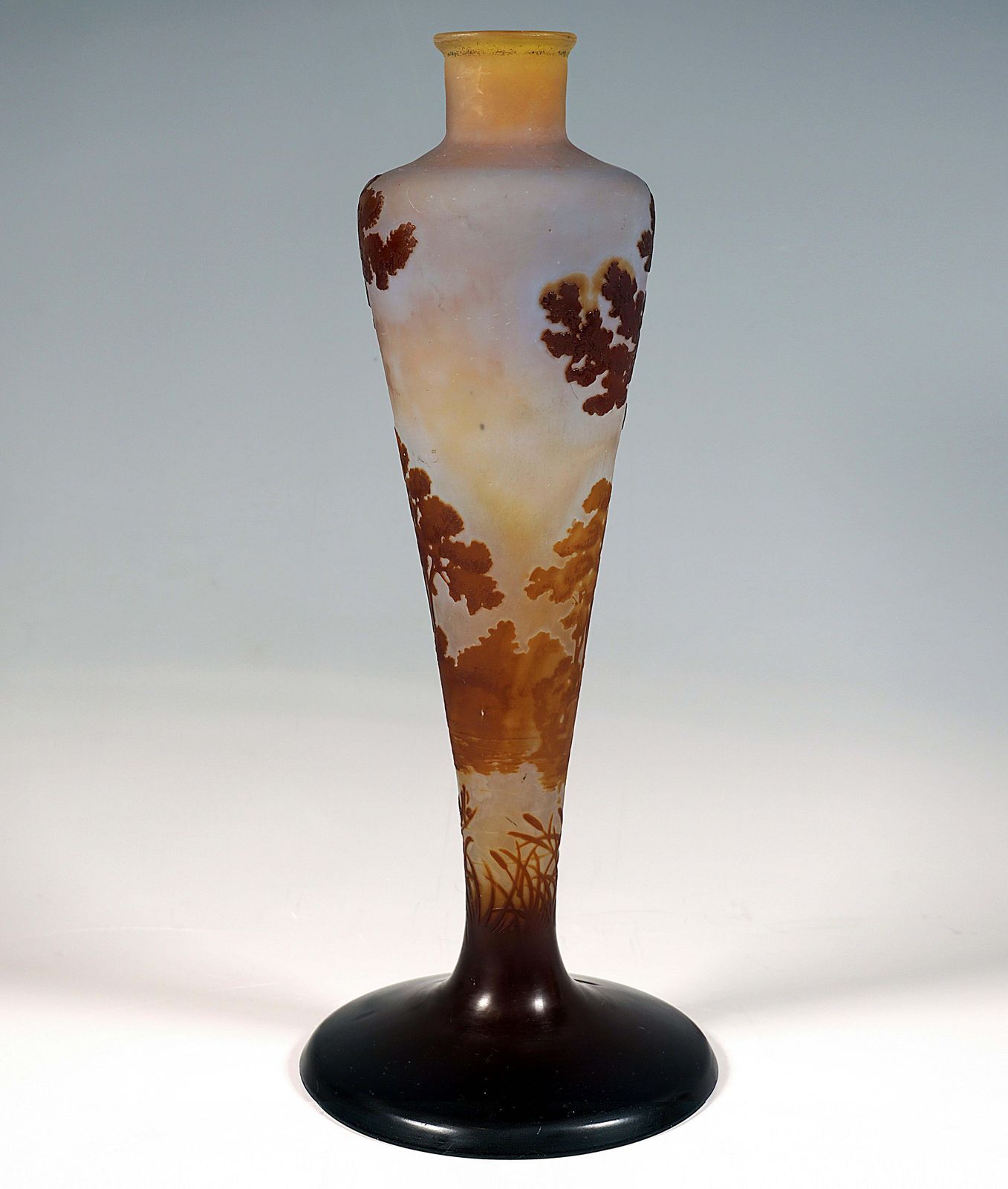 émile Gallé Art Nouveau Cameo Vase, Seascape Decor, France, Circa 1904 photo Home Decor