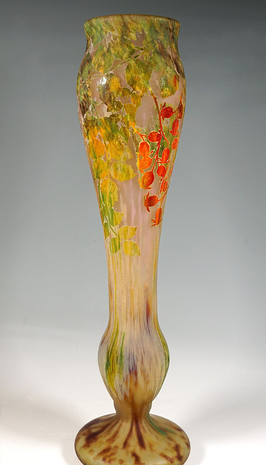 Large Art Nouveau Cameo Vase With Rosehip Decor, Daum Nancy, France, Circa 1910 photo 6661.0