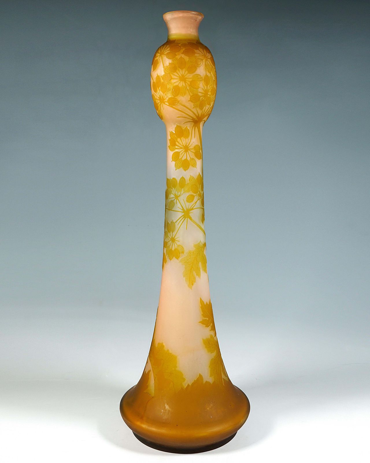 Large émile Gallé Art Nouveau Cameo Vase, Umbellifers Decor, France, Circa 1904 photo Home Decor