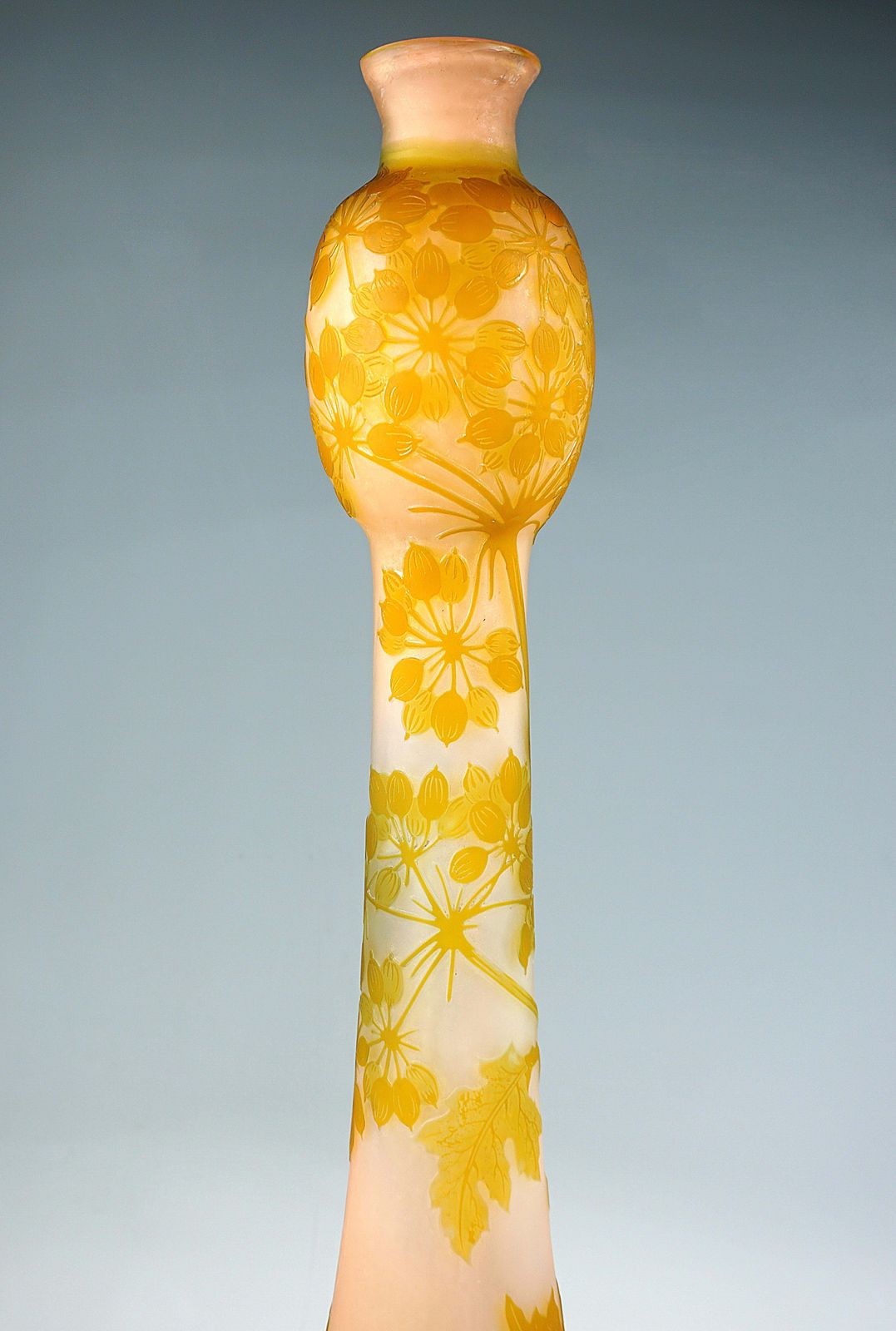 Large émile Gallé Art Nouveau Cameo Vase, Umbellifers Decor, France, Circa 1904 photo vinterior